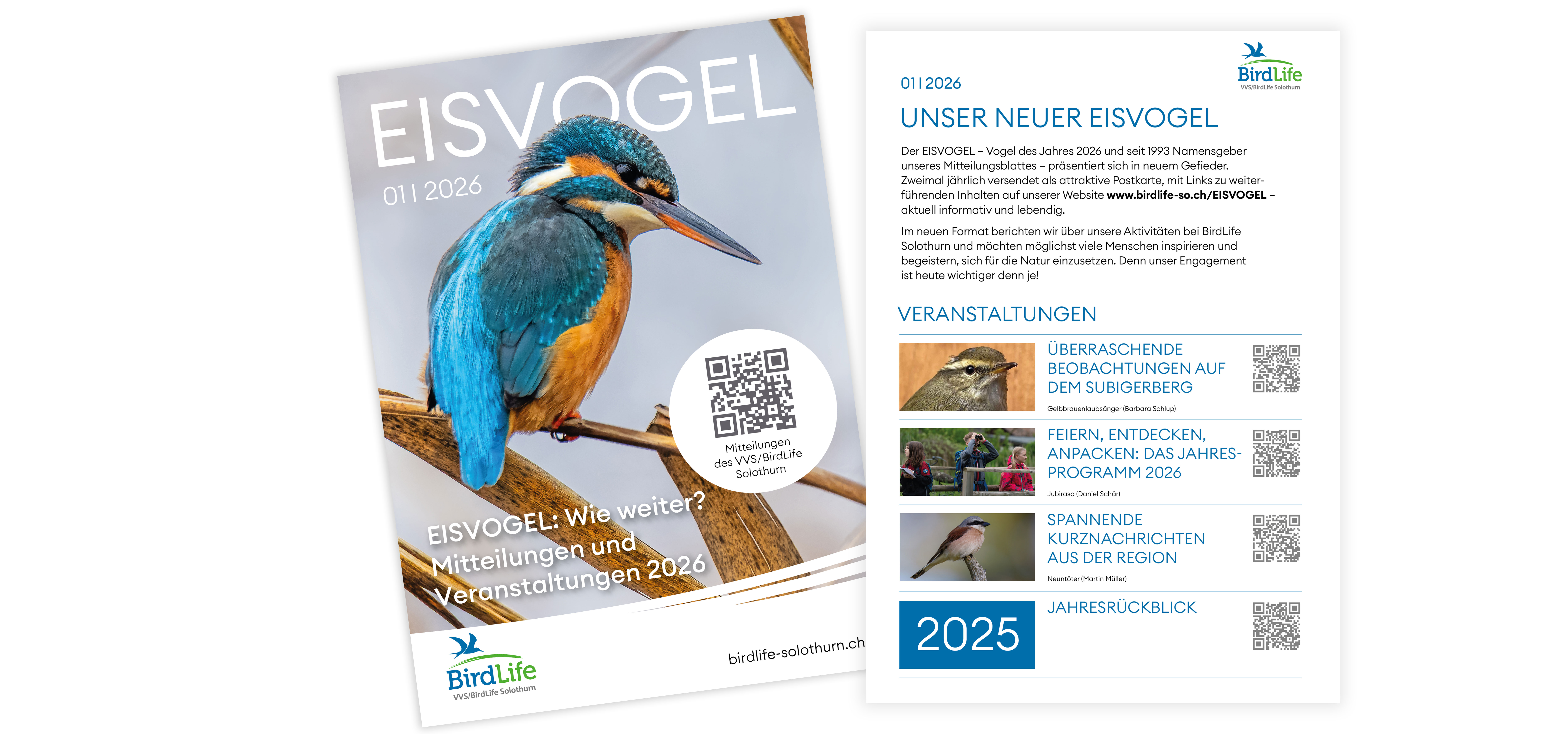 Karte Eisvogel