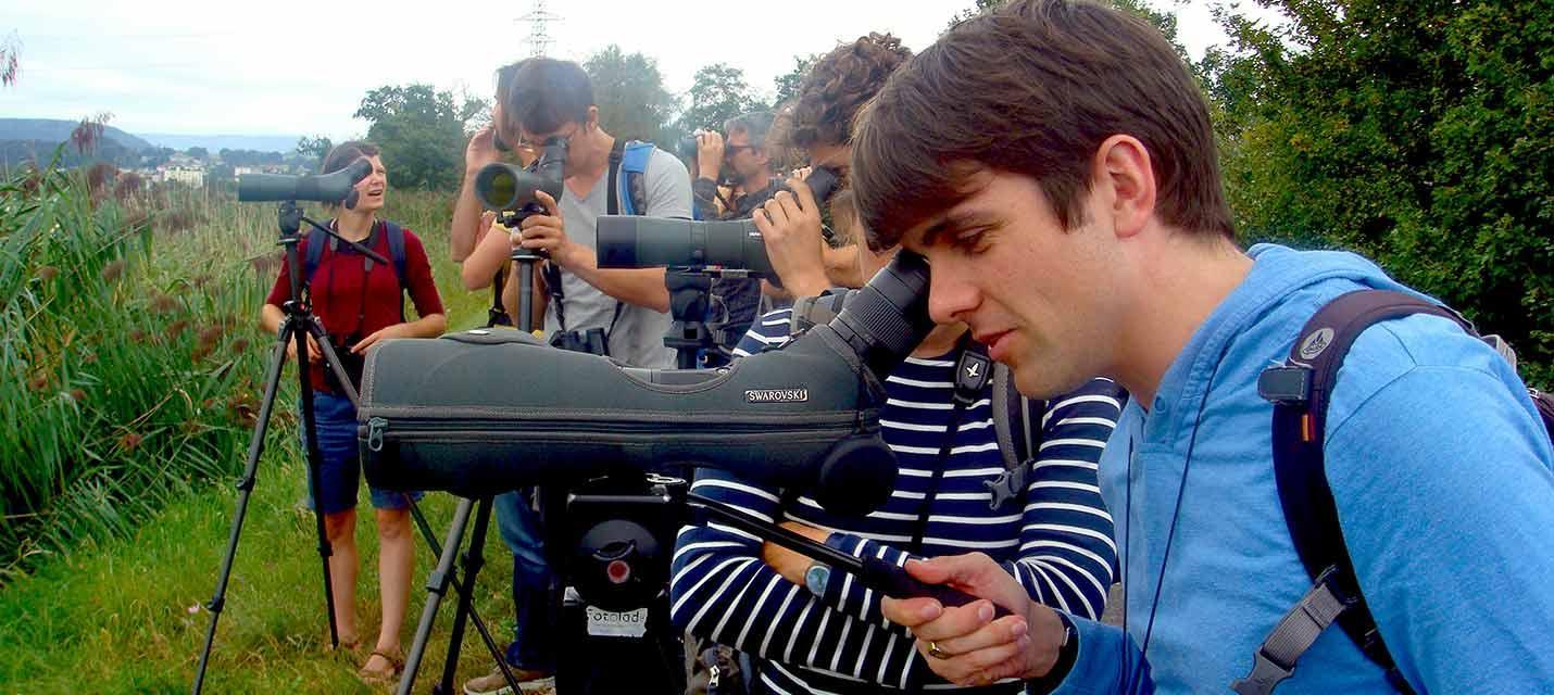 EuroBirdWatch_BirdLife Schweiz