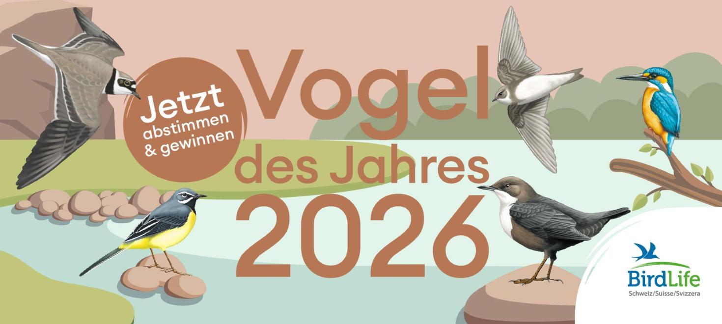 Vogel des Jahres Banner